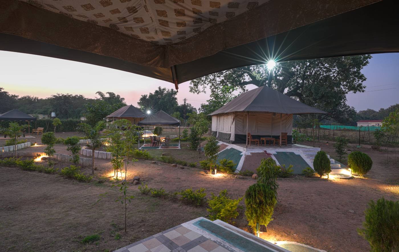 Book Camp in Panna