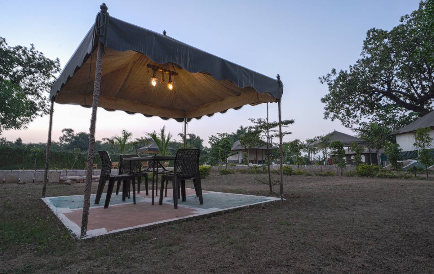 Book Camp in Panna