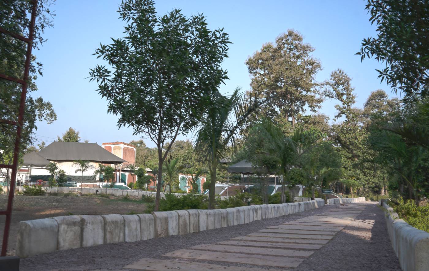 Book Camp in Panna