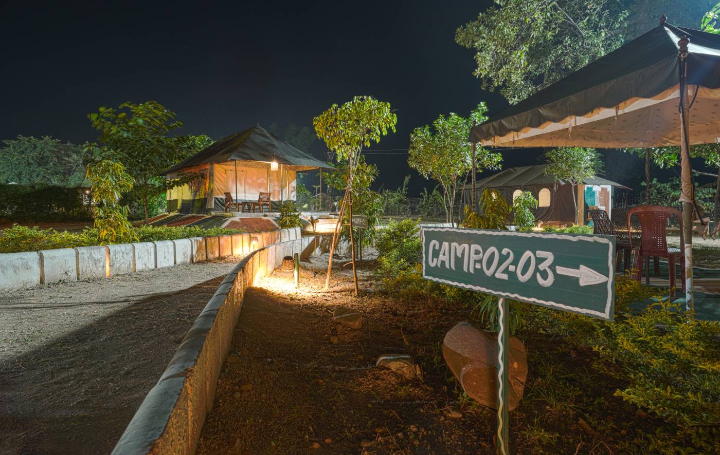 Book Camp in Panna