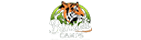 Best Camps in Panna