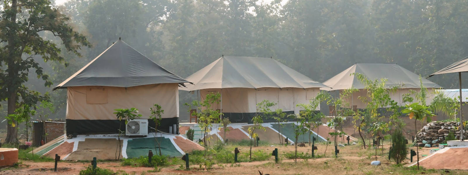 Best Budget Stay in Panna National Park